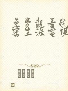 免费观看我的绝密生涯电视剧