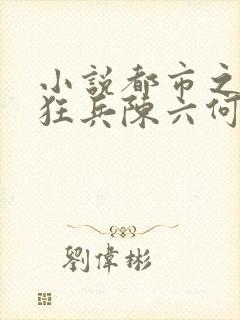 小说都市之最强狂兵陈六何沈轻舞