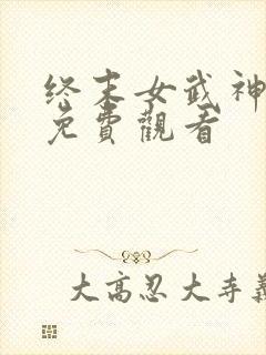 终末女武神三季免费观看