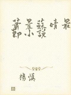 萧晨苏晴最新章节小说