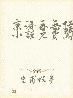 京洛再无佳人2小说免费阅读封面