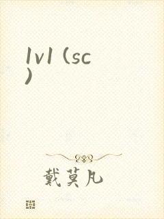 1v1 (sc)封面