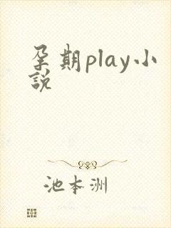孕期play小说