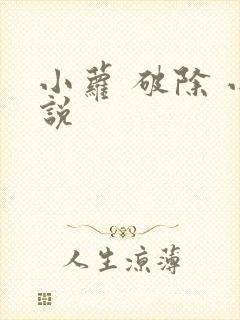 小萝 破除 小说