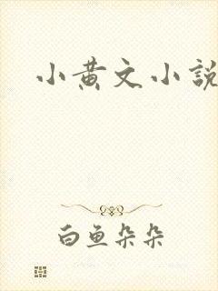 小黄文小说