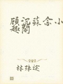 顾沉苏念小说笔趣阁