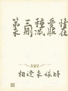第三种爱情电影未删减版在线观看