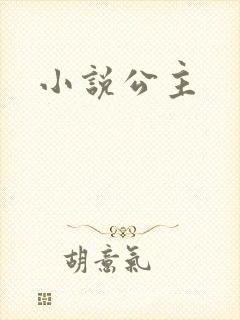 小说公主封面