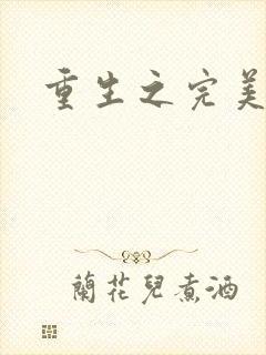 重生之完美一生