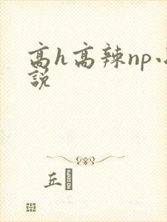 高h高辣np小说