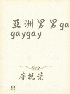 亚洲男男gaygaygay