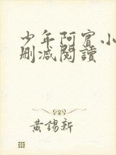 少年阿宾小说无删减阅读