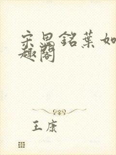 宋思铭叶如云笔趣阁封面