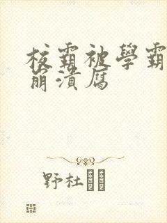 校霸被学霸玩到崩溃腐