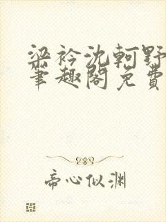 梁衿沈轲野小说笔趣阁免费封面