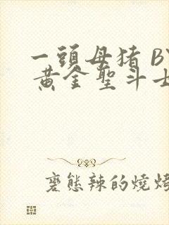 一头母猪 BY 黄金圣斗士封面