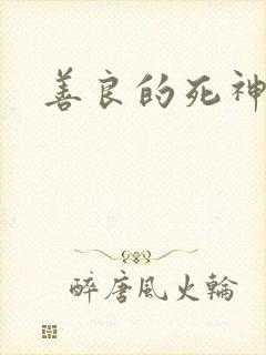 善良的死神小说