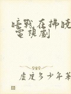 暗战在拂晓之前 电视剧