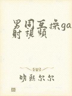 男同互操gay射视频