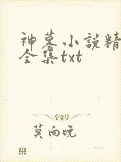 神墓小说精校版全集txt