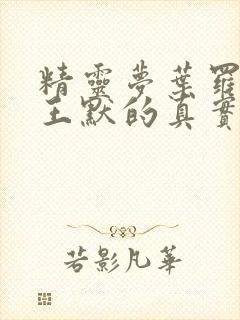 精灵梦叶罗丽中王默的真实身份