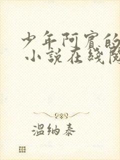 少年阿宾的故事 小说在线阅读封面