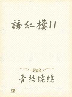 诱红楼11