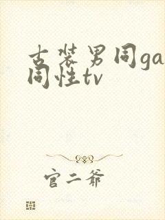 古装男同gay同性tv封面