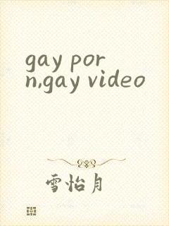 gay porn,gay video