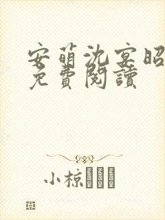 安萌沈宴昭小说免费阅读