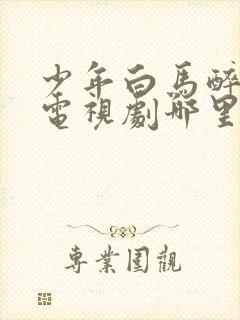 少年白马醉春风电视剧哪里可以看全集封面