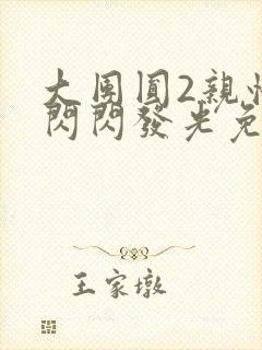 大团圆2亲情会闪闪发光免费封面