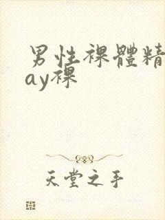 男性裸体精光gay裸封面