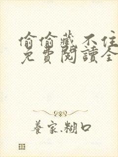 偷偷藏不住小说免费阅读全文无删减