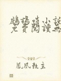 鹧鸪哨小说网站免费阅读无弹窗