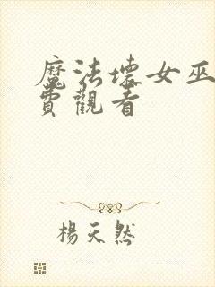 魔法坏女巫2免费观看封面