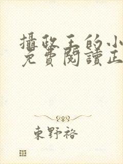 摄政王的小闲妻免费阅读正版