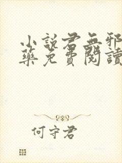 小说君无邪君无药免费阅读