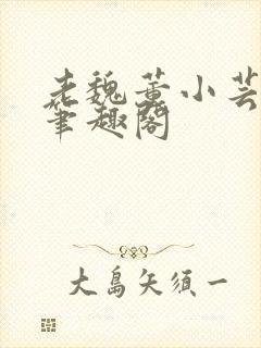 老魏董小芸全文笔趣阁