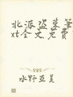 北派盗墓笔记txt全文免费下载