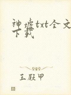 神墟txt全文下载封面