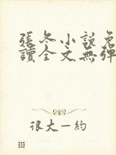 张冬小说免费阅读全文无弹窗封面