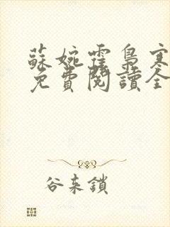 苏婉霍枭寒小说免费阅读全文封面