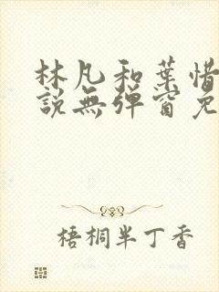 林凡和叶惜的小说无弹窗免费阅读封面