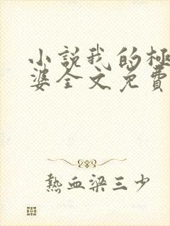 小说我的极品老婆全文免费阅读