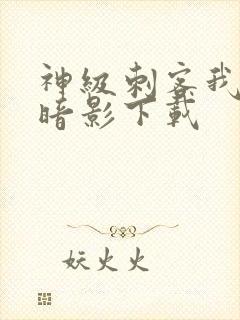 神级刺客我即是暗影下载封面