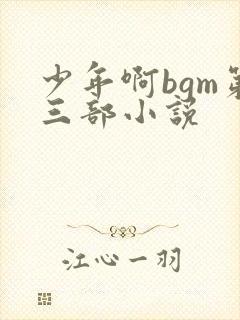 少年啊bgm第三部小说
