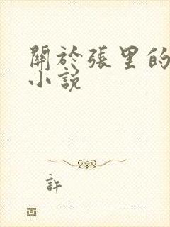 关于张里的官场小说