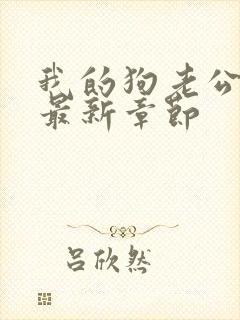 我的狗老公小说最新章节