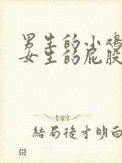 男生的小鸡放在女生的屁股里视频